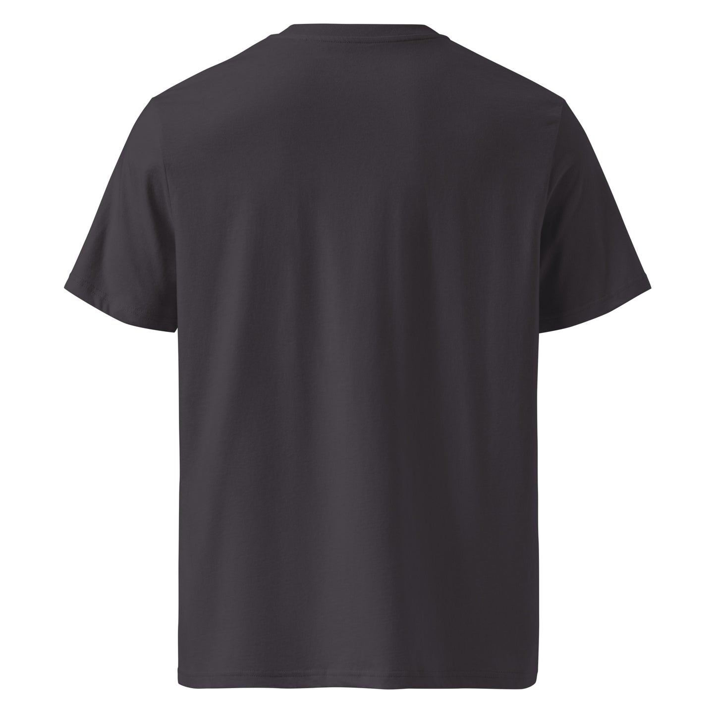 TEE SKULL RIDER